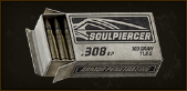 .308 AP