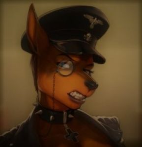 Винил